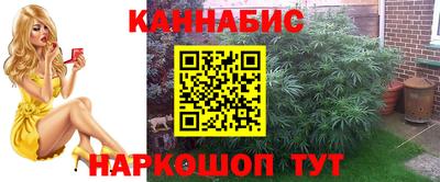 spice Братск