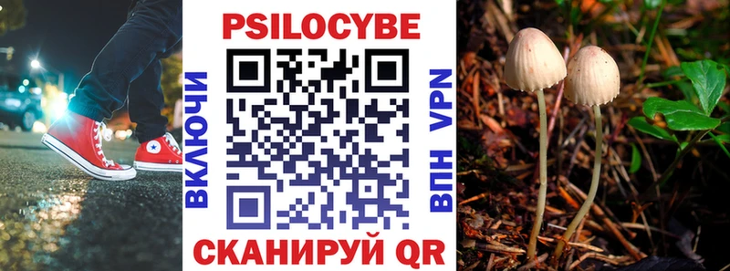 как найти наркотики  Гудермес  Галлюциногенные грибы мицелий 