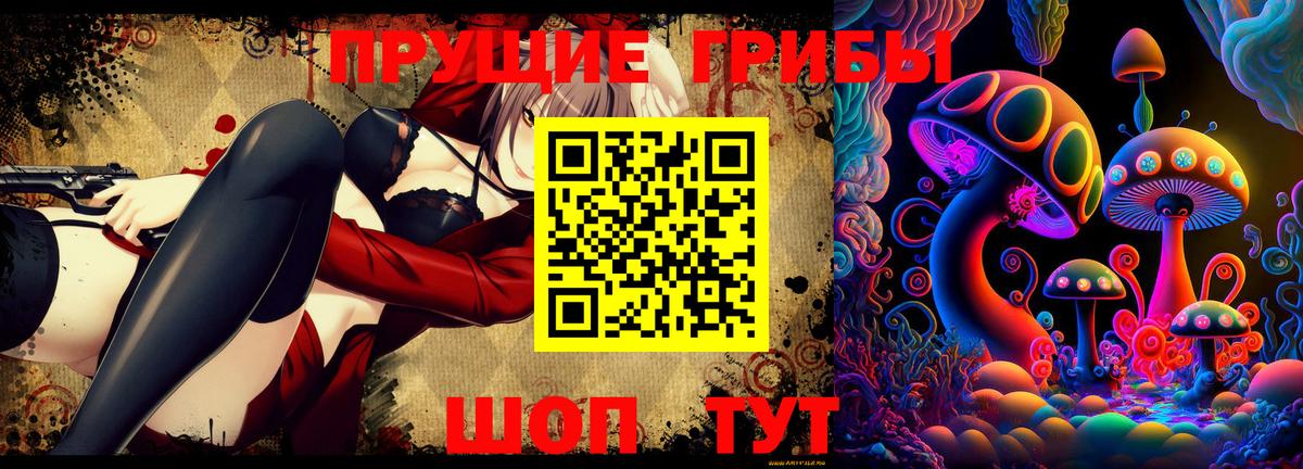Псилоцибиновые грибы GOLDEN TEACHER  Псилоцибиновые грибы GOLDEN TEACHER  Гудермес  Вход с VPN 