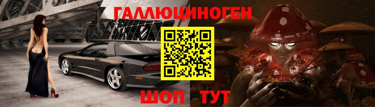 Галлюциногенные грибы MAGIC MUSHROOMS Гудермес